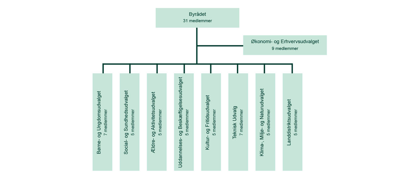 Politisk organisering