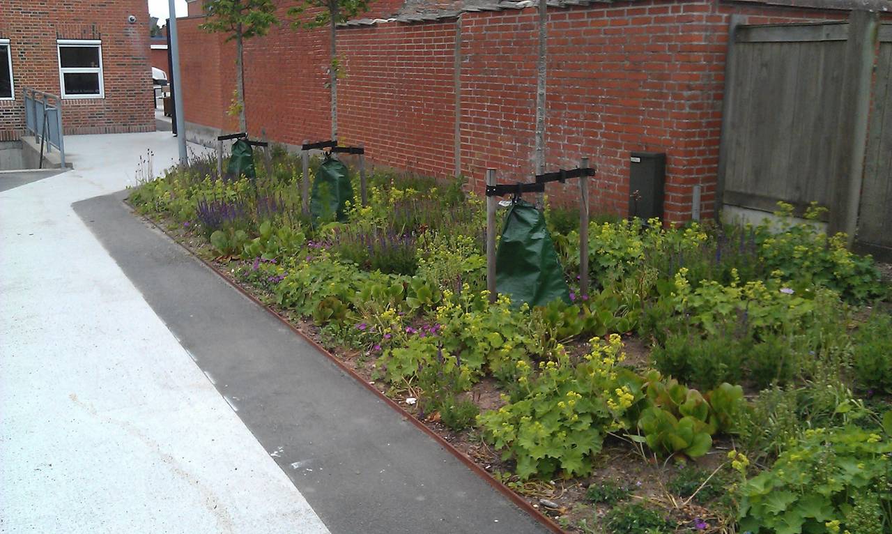 Staudebede ved P-pladsen og sti til Torvet.