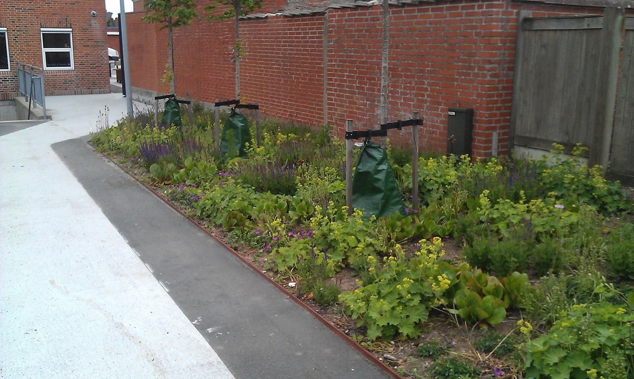 Staudebede ved P-pladsen og sti til Torvet.