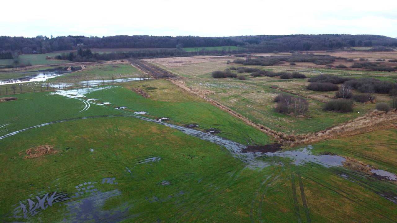 Luftfoto af vådområde