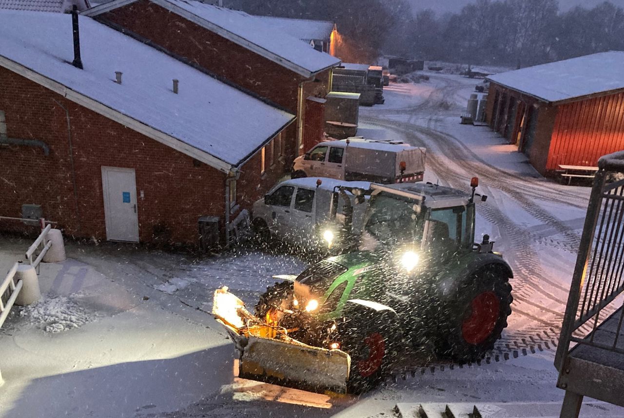 Traktor rydder sne