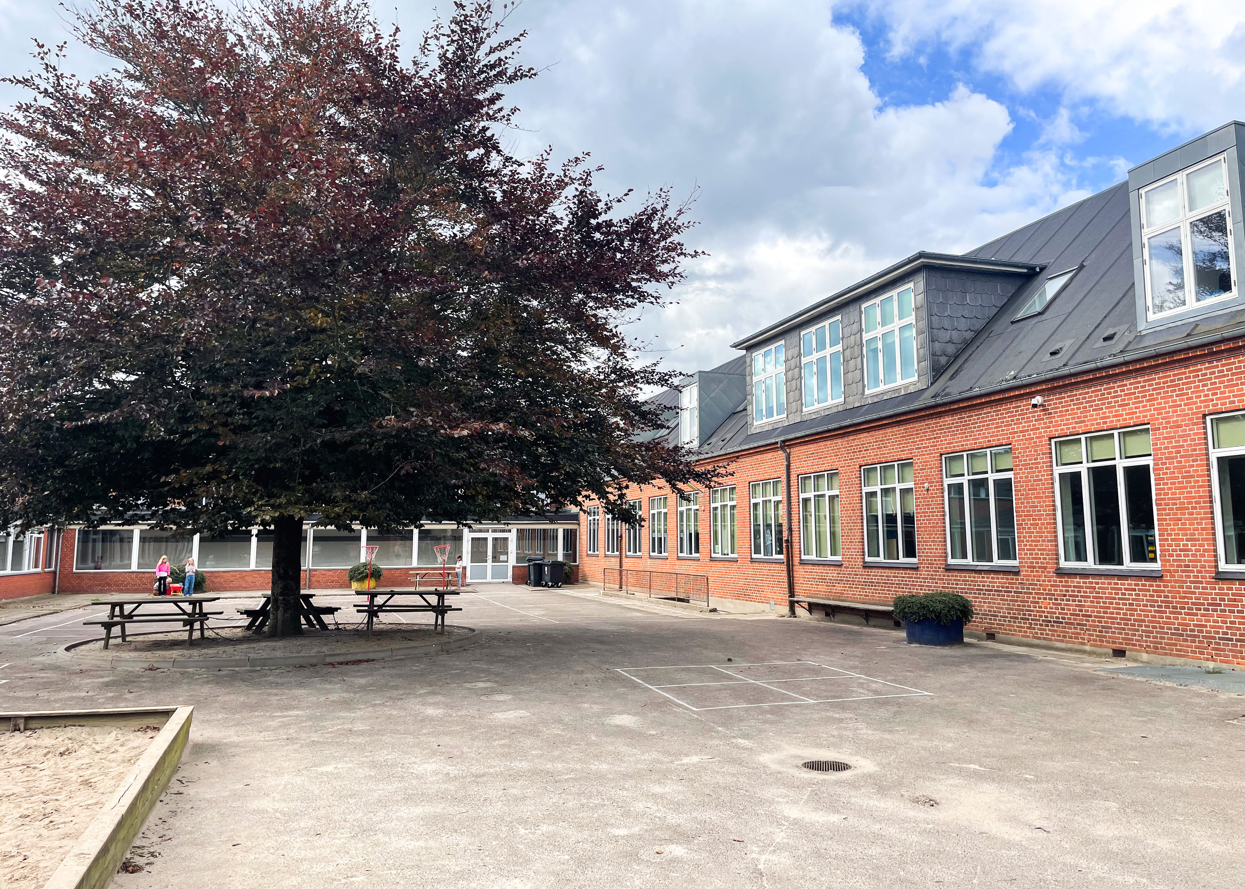 Skolegård med asfalt, sandkasse og stort træ