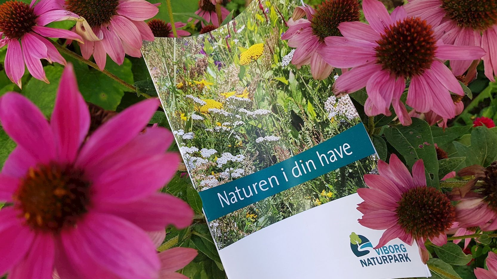 Hæfte der hedder Naturen i din have