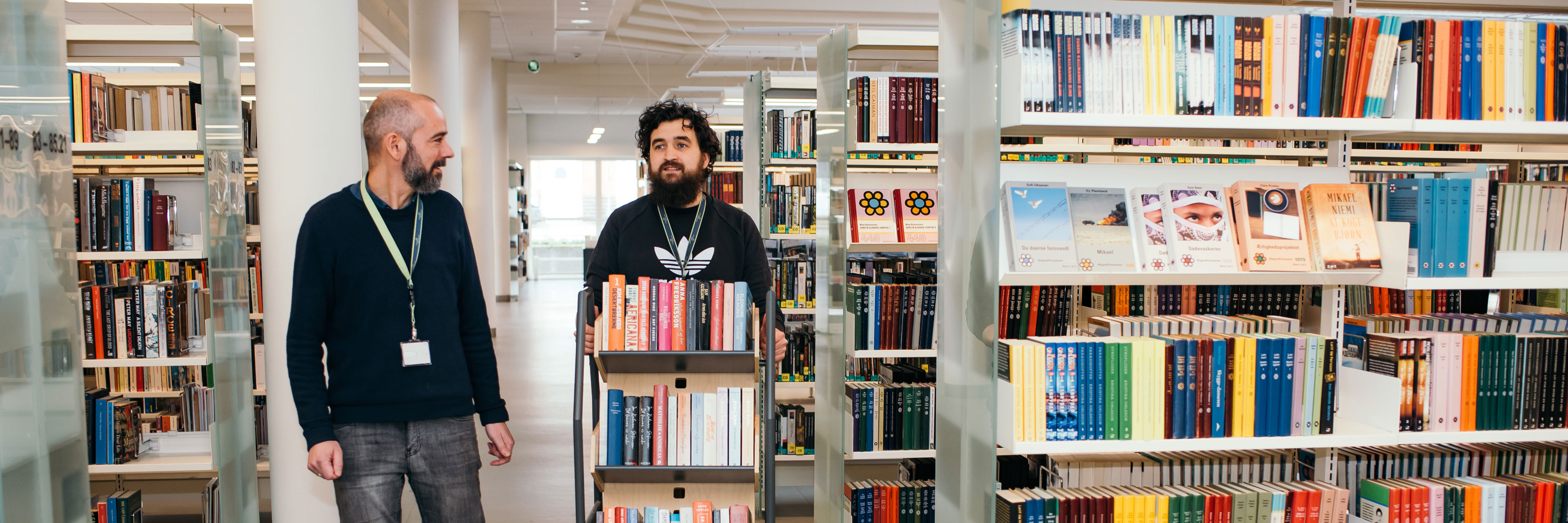To mænd går på biblioteket