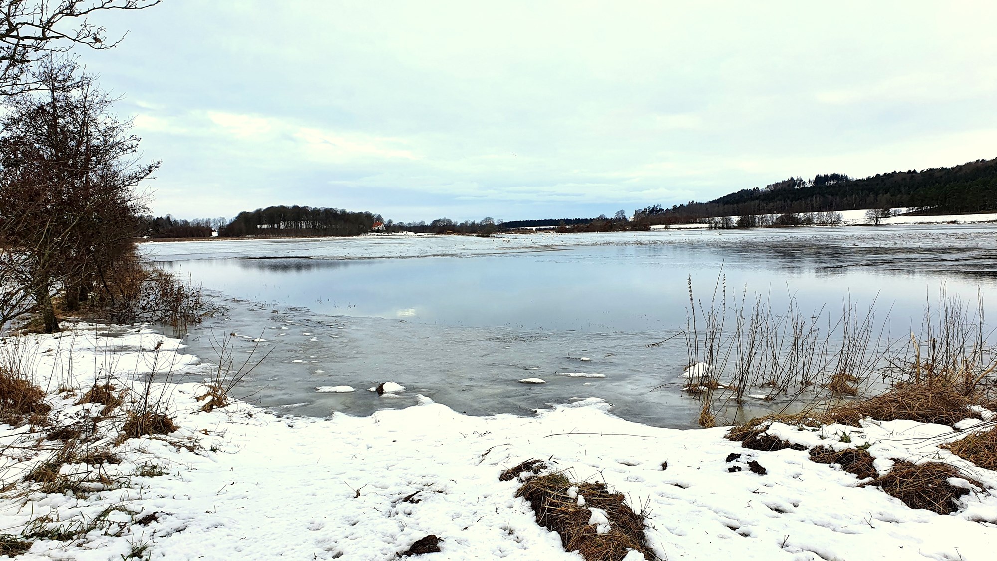 Vinterbillede ud over en sø